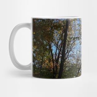 Beautiful Fall Wooded Trail Scene with a Pond - Indian Creek Trail Kansas City Mug